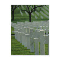 World War II cemetery, Memorial Day Post Card