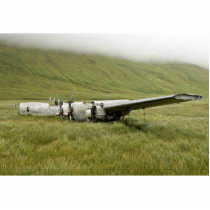 World War II plane wreckage on Atka Island Acrylic Cut Outs