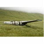 World War II plane wreckage on Atka Island photo sculptures
