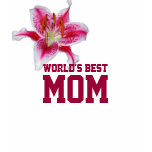 World's Best Mom Stargazer T-shirt