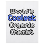 World's Coolest Organic Chemist flyers