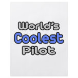 World's Coolest Pilot flyers