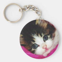 Worlds Cutest Kitten Key Chains