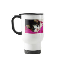 Worlds Cutest Kitten Coffee Mug