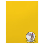 WORLDS GREATEST PILOT MEN CARTOON letterhead