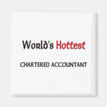 Worlds Hottest Chartered Accountant Magnets