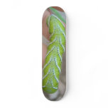 worm board skateboards