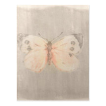 Worn Butterfly Post Cards