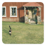 Worn red house with a cat on the lawn. square stickers