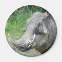 wort-hog10x10 fridge magnets