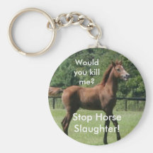 Would you kill me?, Stop Horse Slaughter! Key Chains