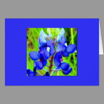 WOW Bluebonnet note card cards