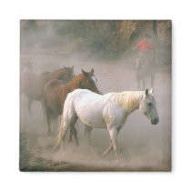Wrangler with horses refrigerator magnets