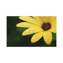Wrapped canvas flower photography print artwork stretched canvas prints