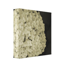 Wrapped canvas flower photography print artwork canvas prints