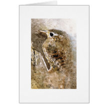 Wren Greeting Cards