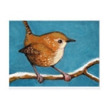 WREN IN OIL PASTEL POST CARDS