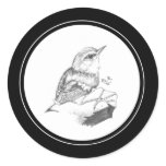 Wren Sticker in pencil