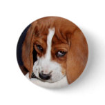 Wrinkled Puppy Buttons