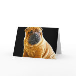 Wrinkles, The Chinese Shar Pei Puppy Dog cards