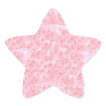 Write-on Light-shade RedRose Flowers Star Sticker