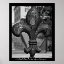 Wrought Iron Fleur de lis Poster Print
