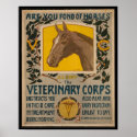 WW1 VINTAGE Vet. Corps POSTER posters