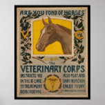 WW1 VINTAGE Vet. Corps POSTER