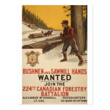 WW I ~ 224th Canadian Forestry Battalion 1915 Post Card