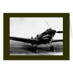 WWII Flying Tigers Curtiss P-40 Fighter Plane cards