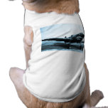 WWII Flying Tigers Curtiss P-40 Fighter Plane pet clothing