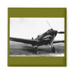 WWII Flying Tigers Curtiss P-40 Fighter Plane magnets
