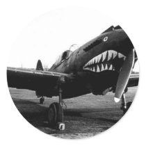 WWII Flying Tigers Curtiss P-40 Fighter Plane Stickers