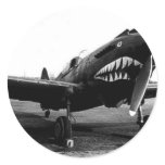 WWII Flying Tigers Curtiss P-40 Fighter Plane stickers
