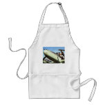 WWII German Bf-110 + Pilot aprons