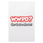 WWPD...What Would a Pilot Do? stationery