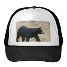 www.blackbearsite.com casquette