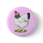 Wyandotte:  Columbian Hen Buttons
