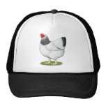 Wyandotte:  Columbian Hen Trucker Hats