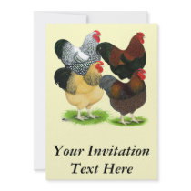 Wyandotte:  Rooster Assortment Custom Announcements