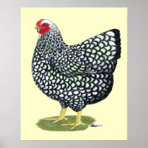 Wyandotte:  Silver-laced Hen Posters