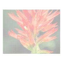 Wyoming Paintbrush Custom Invitations