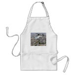 x-2 apron