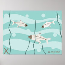 X for X-ray fish Poster