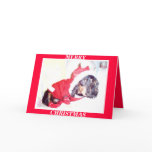 X MAS CHRISTMAS CARDS - HEIDI PUP - DASCHUND MINI
