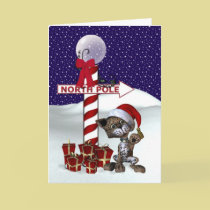 X-Mas Kitten cards