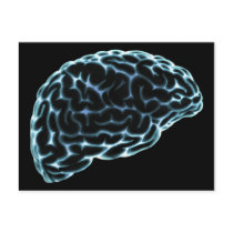 X-RAY BRAIN SIDE VIEW BLUE