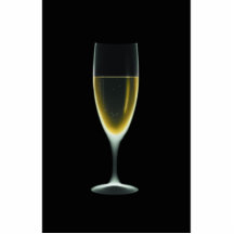 X-RAY CELEBRATION CHAMPAGNE Original + Negative Photo Cut Out