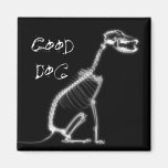 X-RAY GOOD DOG SKELETON SITTING - B&W FRIDGE MAGNETS
