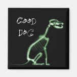 X-RAY GOOD DOG SKELETON SITTING - GREEN REFRIGERATOR MAGNET